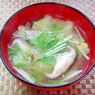 春キャベツと椎茸水菜の味噌汁